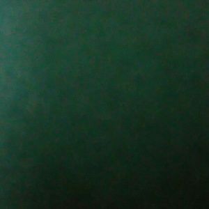 Meet your Posher, Yasmin